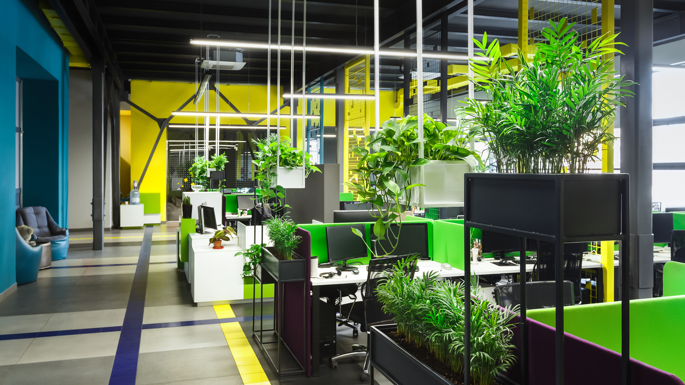 Modern office space with large windows and plants