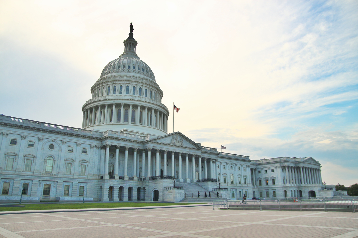 The Capitol Building in Washington, DC