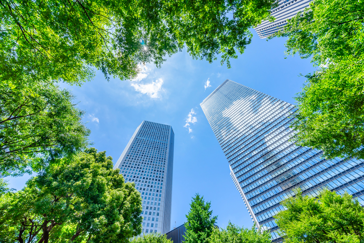 Trees and skyscrapers in Shinjuku, Tokyo