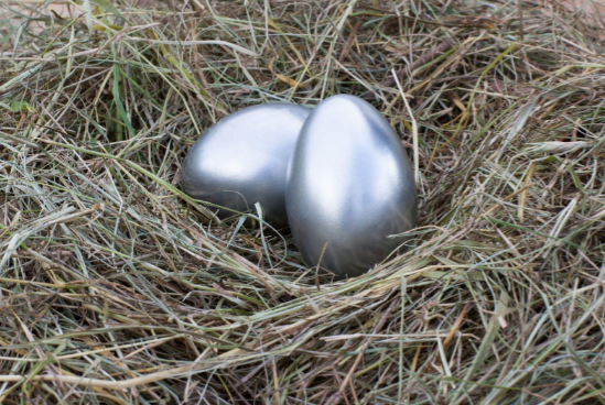 Silver eggs in nest