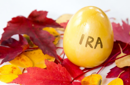 Gold IRA egg on autumnal leaves