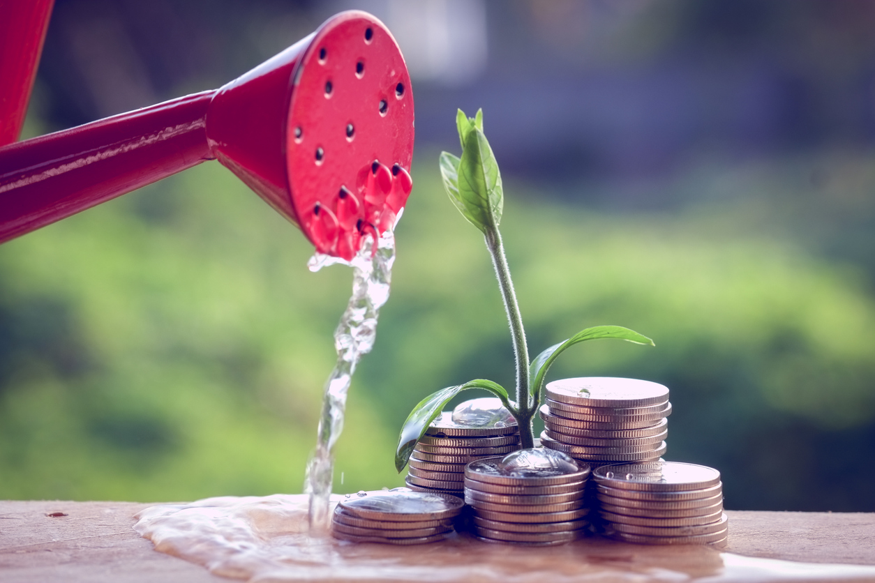 Money and plant being watered, representing startup growth