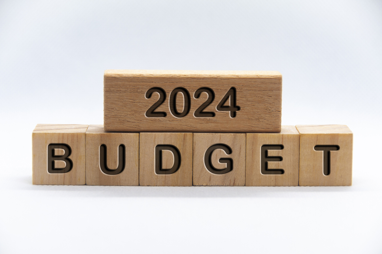 budget 2024 text engraved on wooden blocks with white cover background. budgeting business concept.