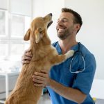 Why should I get pet insurance cover?