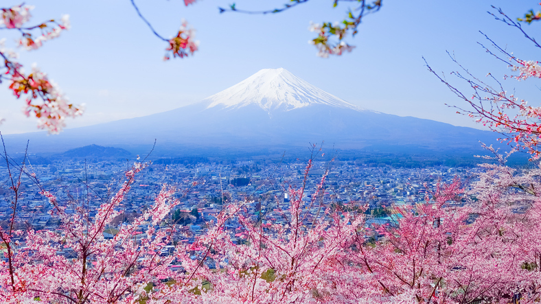 mt. fuji with cherry blossom (sakura )in spring, fujiyoshida, ja