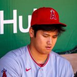 Shohei Ohtani's Net Worth: Dodgers Contract, Endorsements & World Series Triumph