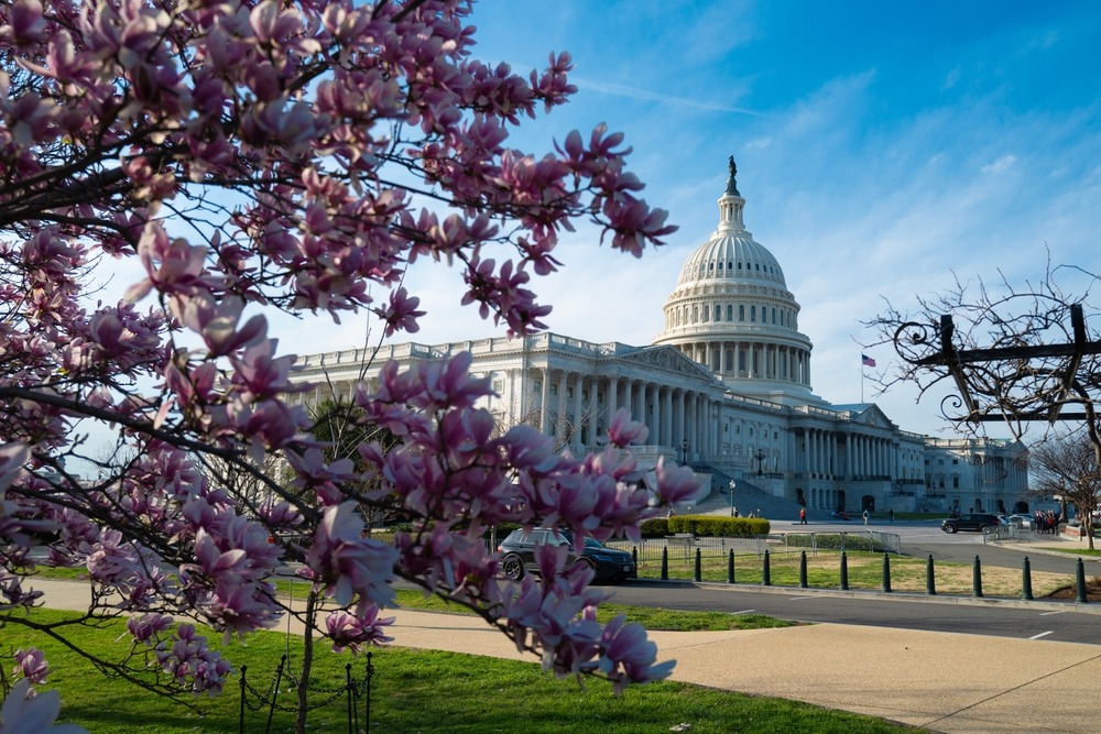 capitol,democracy,in,usa,washington,dc,,capitol,building,usa.,supreme