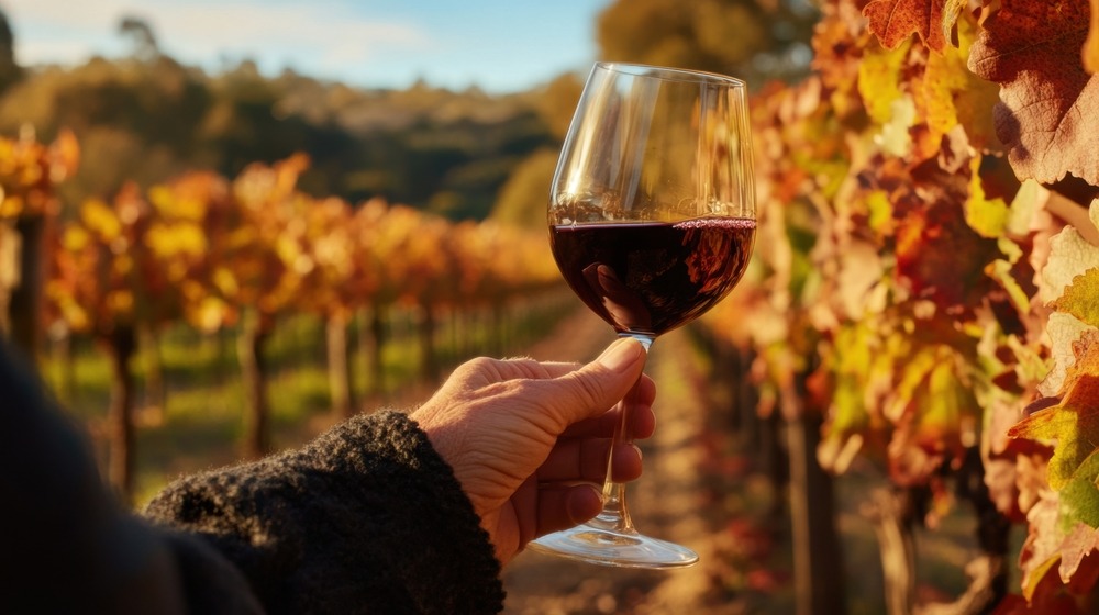 close,up,of,a,wine,glass,on,a,barrel